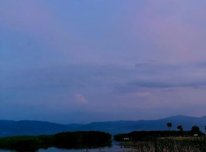 On Iznik With Its Own Private *