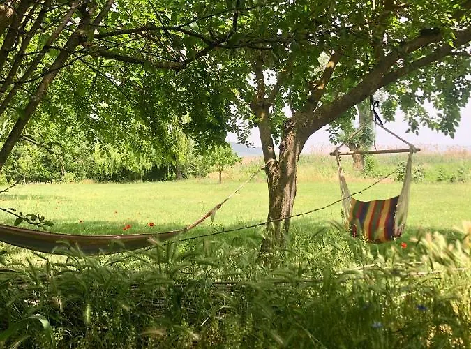 On Iznik With Its Own Private Bursa