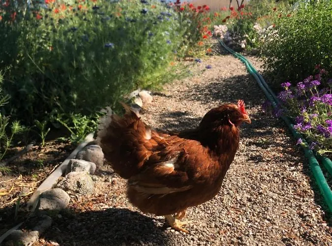 Holiday home On Iznik With Its Own Private *