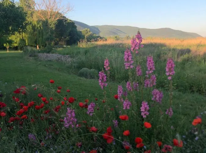 Holiday home On Iznik With Its Own Private