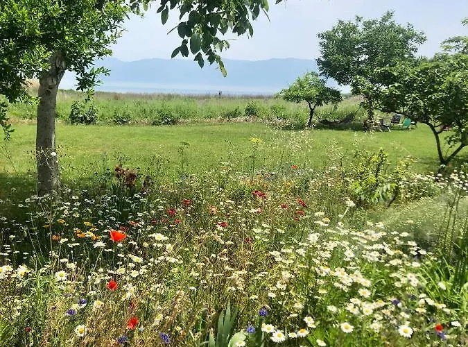 On Iznik With Its Own Private Holiday home *