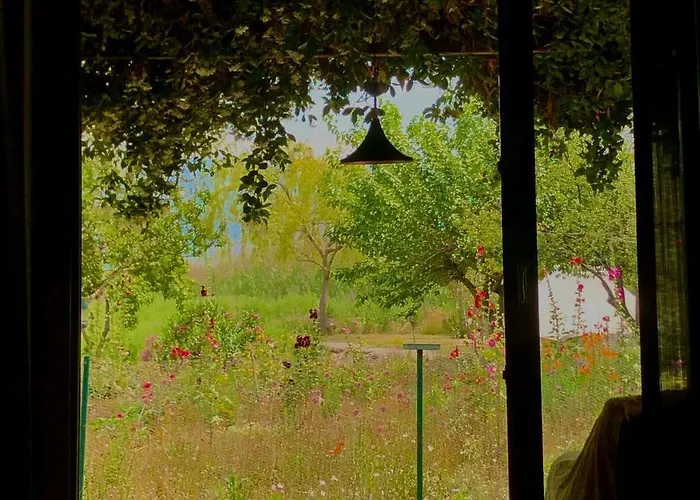 On Iznik With Its Own Private *